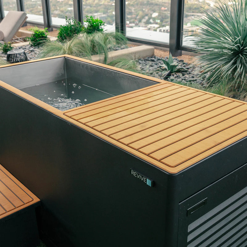 Revive Plunge 2 Person Traditional Sauna & Luxury Plunge